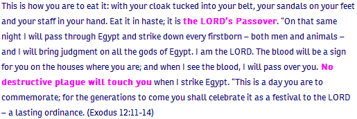 Exodus ch 12 verse 11-14