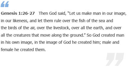 Genesis 1:26-27